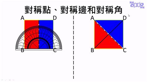 對稱物品|生活中的線對稱圖形